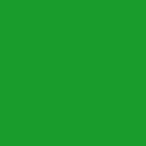 Akrylová farba Studio Acrylics 100 ml, 60 Chrome green hue