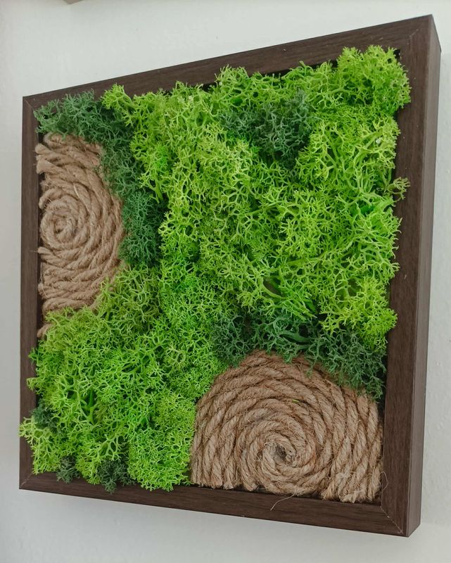 Machový obrázok 16