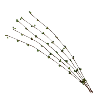 Dekorácia vetvička s púčikmi 38 cm - zelená - 1 ks