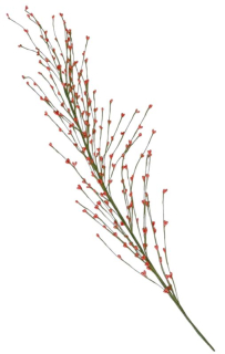 Dekorácia vetvička s púčikmi 84 cm - ružovo-červená - 1 ks