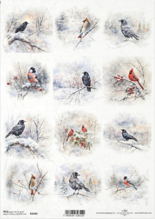 Ryžový papier R2490 - Zimna, vtáčiky