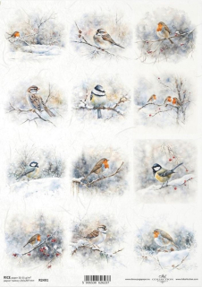 Ryžový papier R2491 - Zimna, vtáčiky